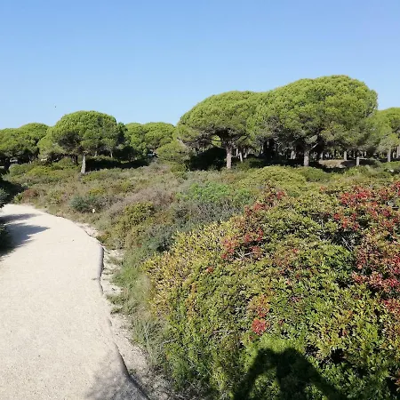 Sancti Petri Anocheceres Chiclana de la Frontera